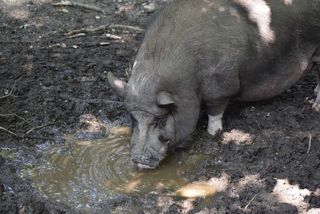 以帮助球员 以帮助球员