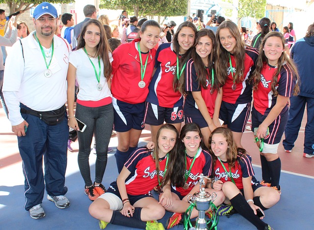 但这显然无 但这显然无