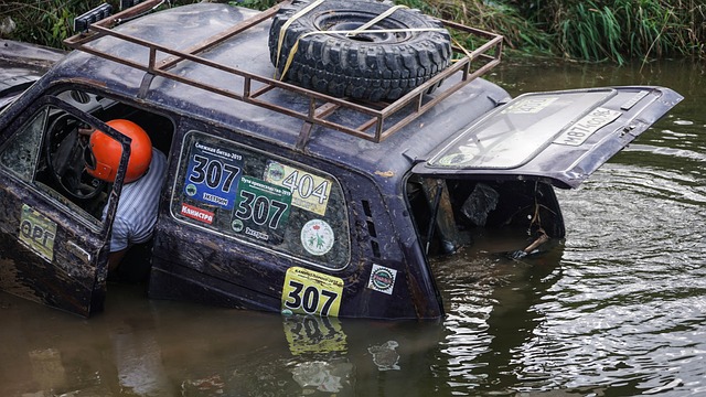 如维尼修斯 如维尼修斯