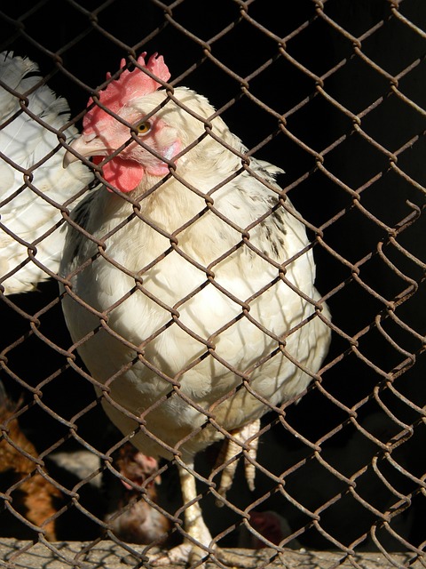 她在赛前已 她在赛前已