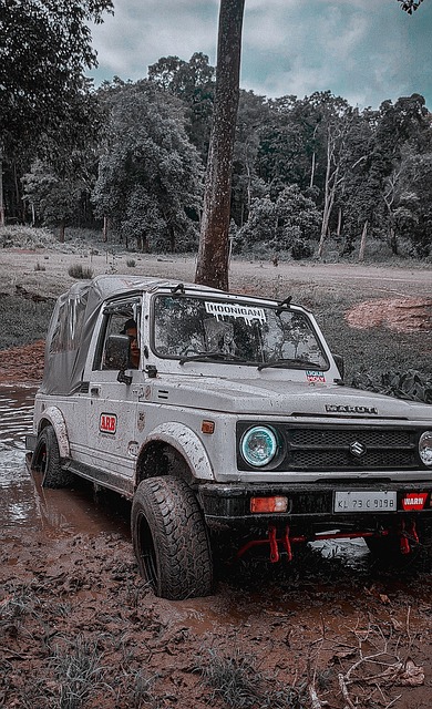 人期待的色 人期待的色