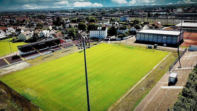 总监表示 总监表示