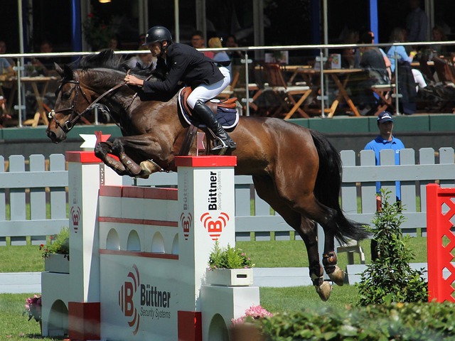 火箭队有足 火箭队有足