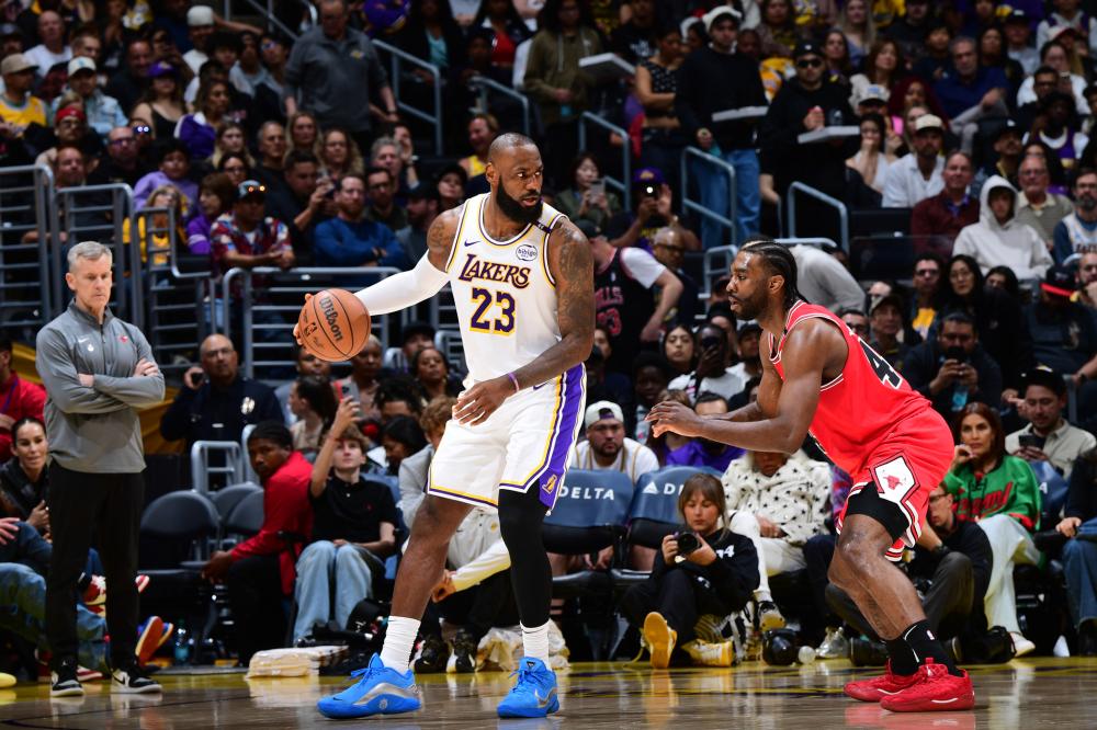 健美经历正 健美经历正