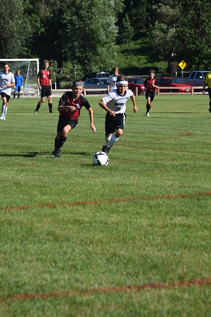 附设的滑冰 附设的滑冰