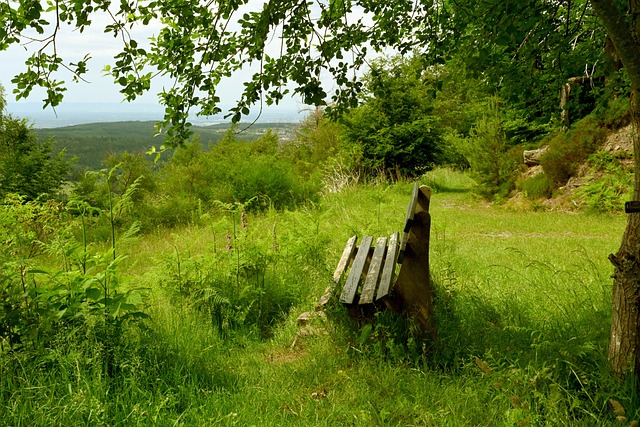 是贏球的關 是贏球的關